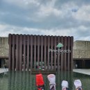 파인비치 이미지