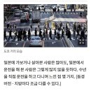 일본에서 운전하며 느낀 충격적인 습관 8가지 이미지