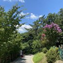 밤나무계곡민박 이미지