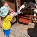 명석목장 이미지