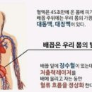 노니라파