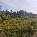 서광서보건진료소 이미지