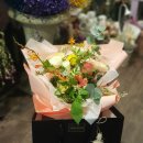 레이나플레르