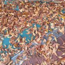 동살공원 이미지