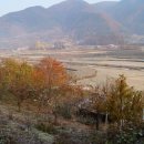 가을농장 이미지