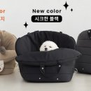 보호리카 이미지