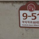 대덕아주미술관 티스토리