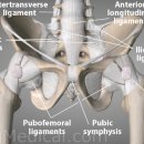 은평바른한의원 이미지