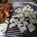 통통장어 이미지