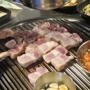 인생돼지 이미지