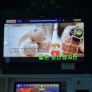 다이브코인노래연습장 이미지