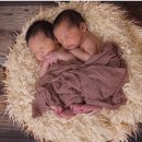 인간+자연 이미지