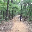 엘진산업 네이버블로그
