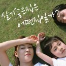 과천햇살약국 네이버블로그