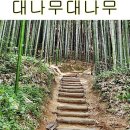 봉황꽃벵이 이미지