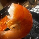 행복카세 이미지