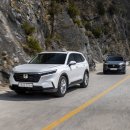 베스트올 이미지