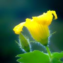 문학으로 만나는 낭독의 시간 이미지