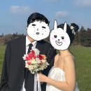 제주에선쪼끌락