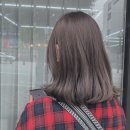 블루섬데이