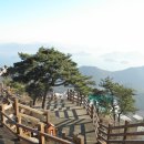 장사도해상공원 이미지