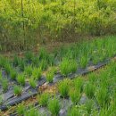 감자공인중개사사무소 이미지