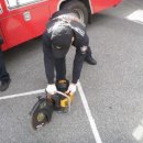 진부119안전센터 이미지