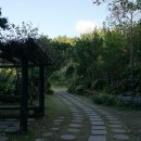 울릉도스카이투어