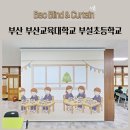 부산교육대학교부설초등학교 | 부산 부산교육대학교 부설초등학교 실사롤스크린 방염롤스크린 학교블라인드