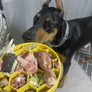 JMT 개밥집 | JMT 개밥집 동결건조 오리머리 후기 (강아지 간식)