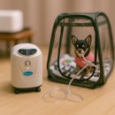 CH동물병원 이미지