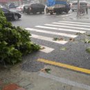 더봄안경원 이미지