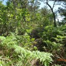 금당면-2 이미지