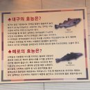 장가네대구왕뽈떼기 이미지