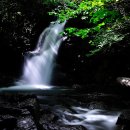 달빛소나타 이미지