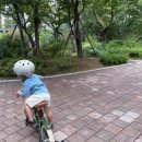 3살아기 자전거 추천 | 스토이14인치 네발자전거 후기