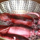 산오징어 이미지