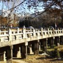 제일강산 이미지