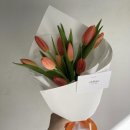 이딜리크 이미지