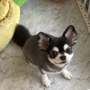 살롱드베베 이미지