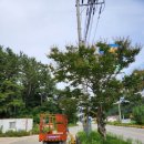 장군고소작업대리프트렌탈