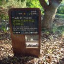 봉산초등학교 이미지