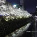 정평천 이미지