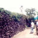 하례1리 이미지