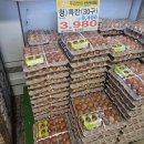 농민마트내 정육코너 | [현장] "5월 2일 정상영업" 계란 한 판 3,980원 파격 세일과 텅 빈 정육 코너의 명암