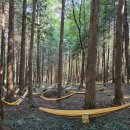 달보드레 이미지