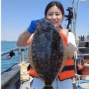 골프챔프 | 💣 오천항 광어다운샷 루어낚시 채비 선택 TOP 7 (웜 컬러별 입질 차이)