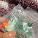 동송농장 | April , 2024(3)