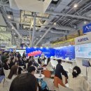 티에스디 이미지