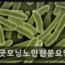 굿모닝 병원 앞 - 우 | 평택 현덕동 요양센터 굿모닝노인전문요양원 조용한 환경 속 안정적인 돌봄 제공